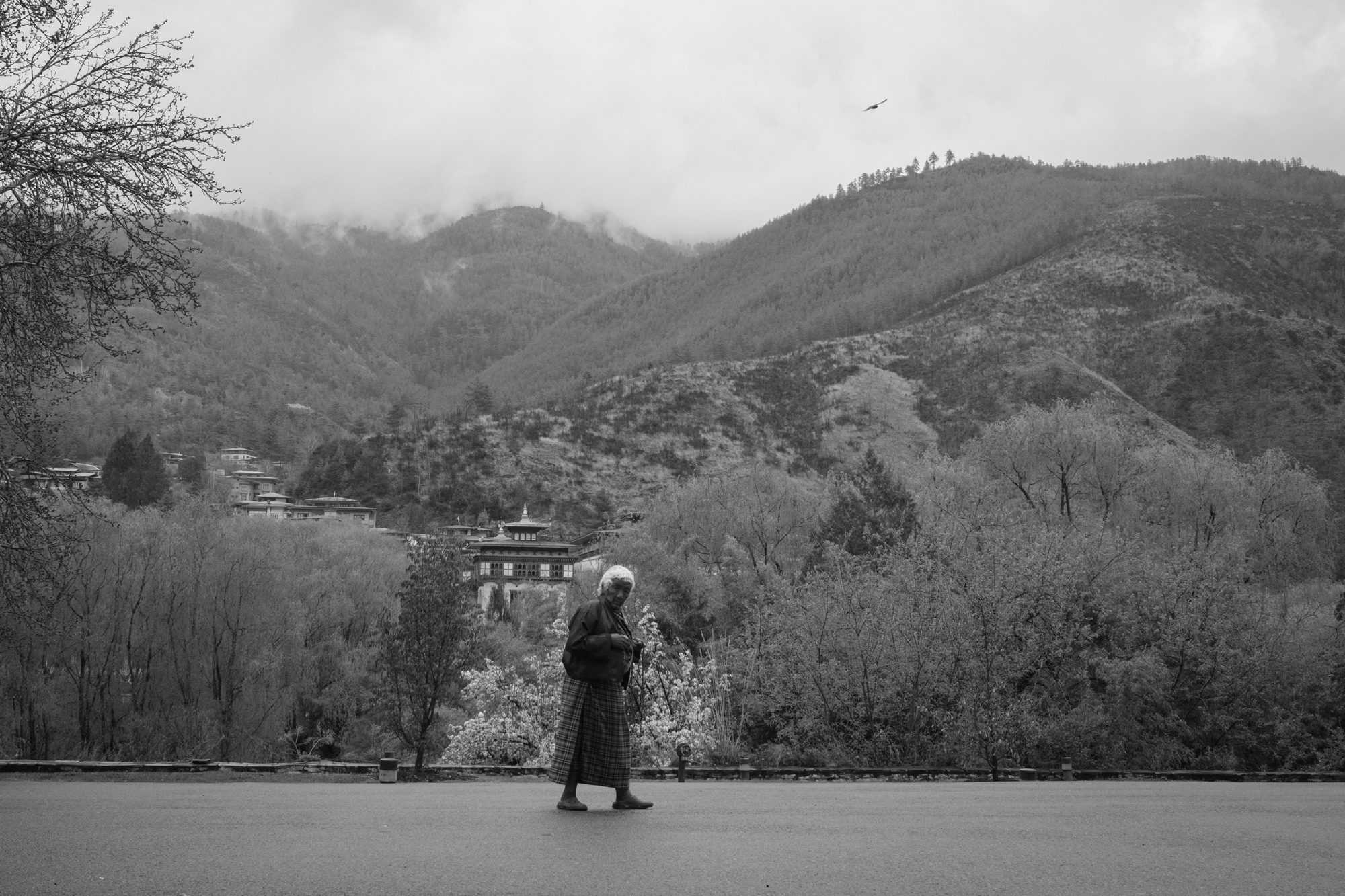 Christine L. Mace: Through the Lens